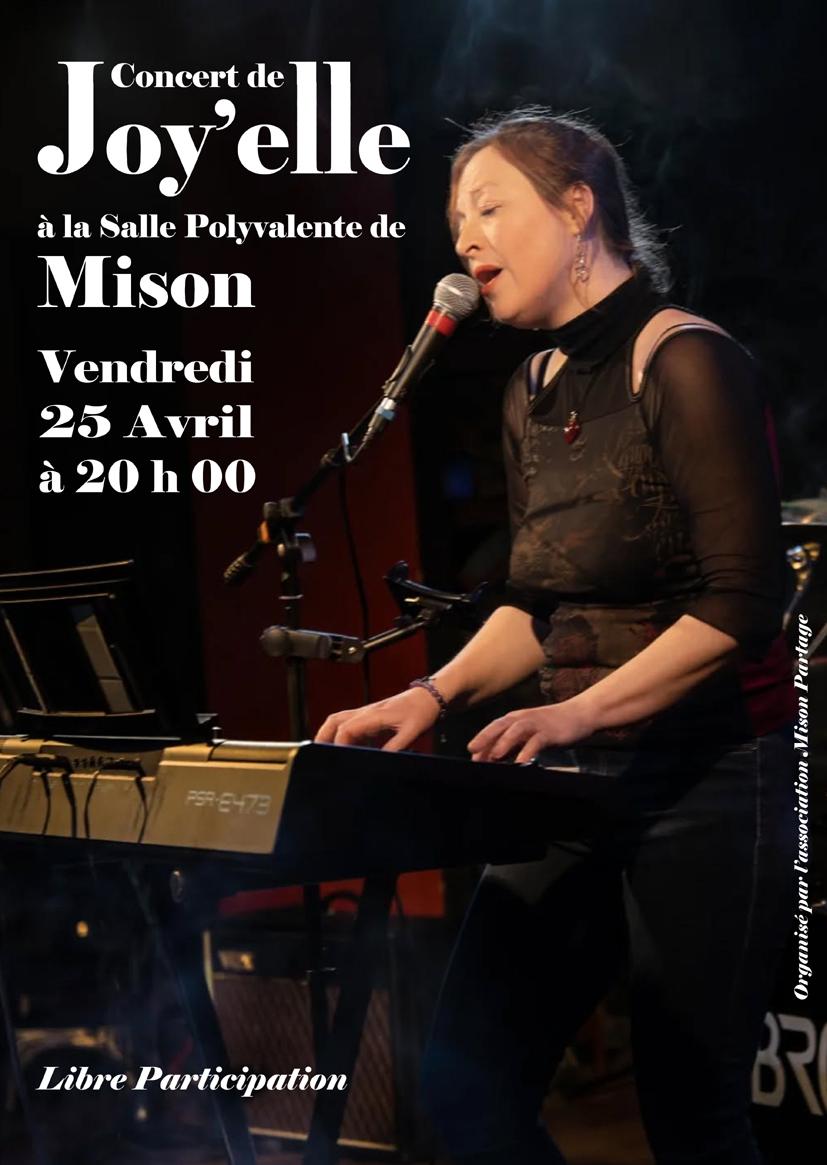 Affiche concert joy elle