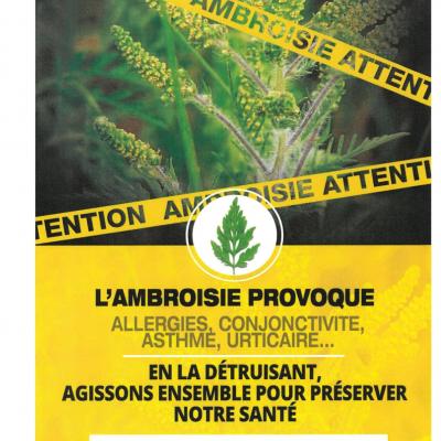 Ambroisie